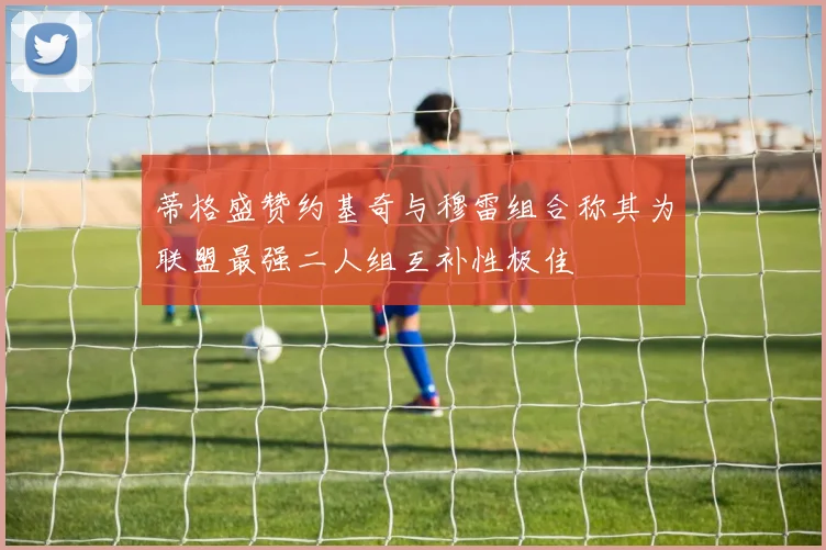 蒂格盛赞约基奇与穆雷组合称其为联盟最强二人组互补性极佳