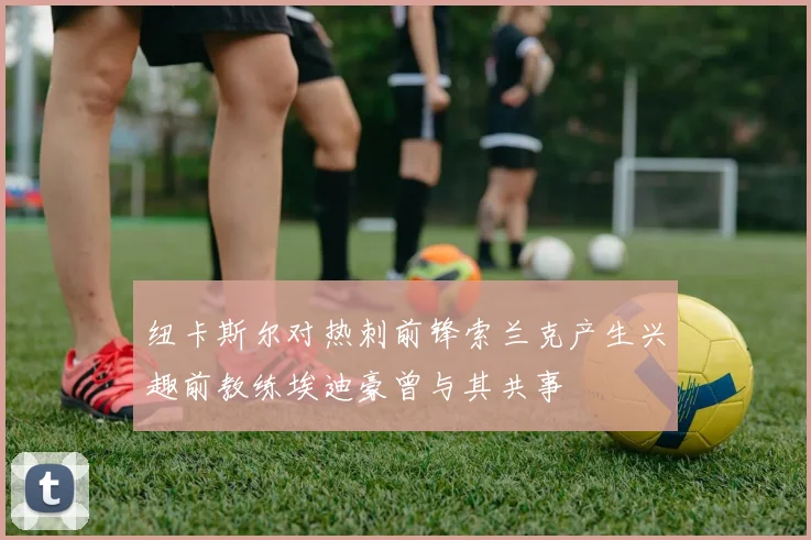 纽卡斯尔对热刺前锋索兰克产生兴趣前教练埃迪豪曾与其共事