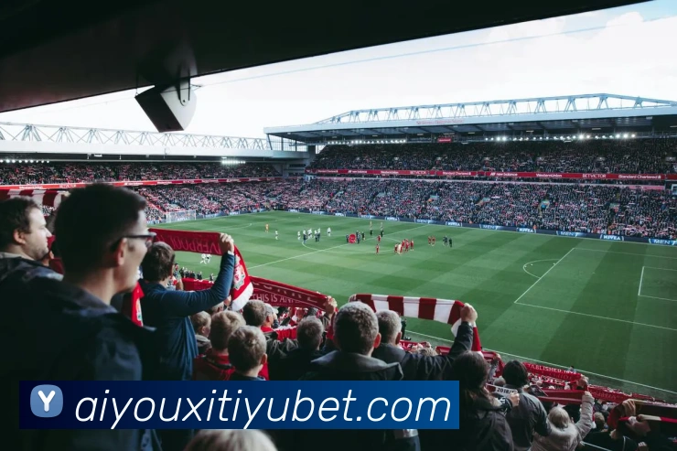 爱游戏体育发展历程